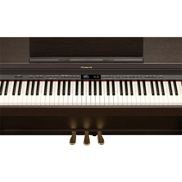 Music City – Tổng Kho Piano, Guitar, Organ | Dịch Vụ Giáo Dục Âm Nhạc