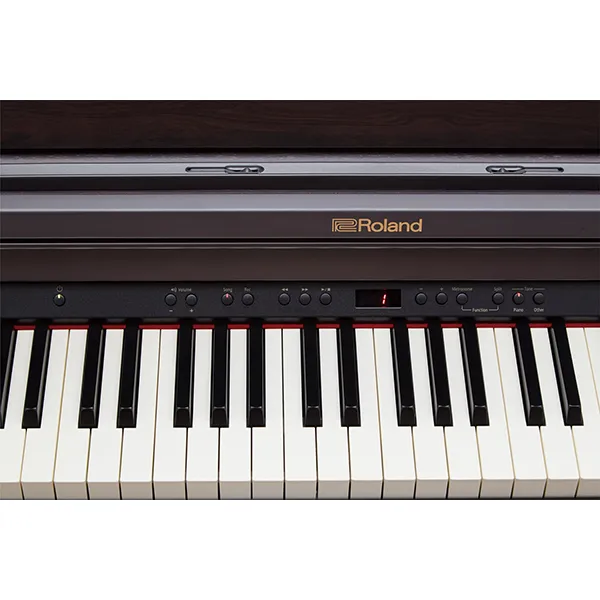 Music City – Tổng Kho Piano, Guitar, Organ | Dịch Vụ Giáo Dục Âm Nhạc