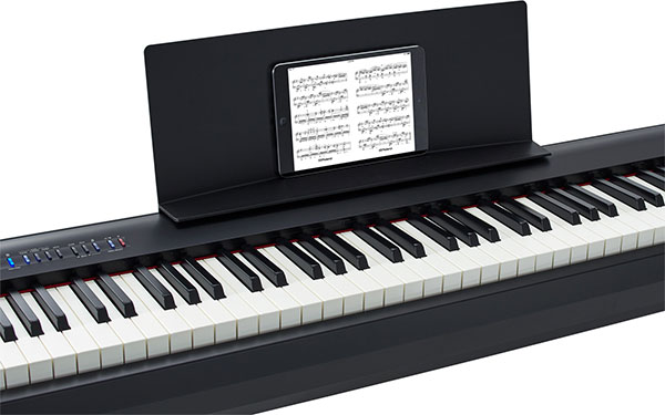 Music City – Tổng Kho Piano, Guitar, Organ | Dịch Vụ Giáo Dục Âm Nhạc