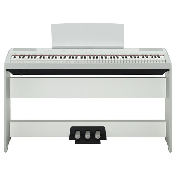 Music City – Tổng Kho Piano, Guitar, Organ | Dịch Vụ Giáo Dục Âm Nhạc