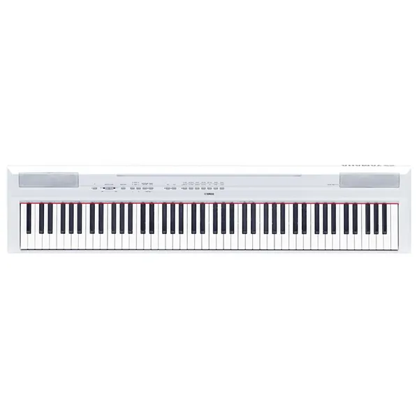 Music City – Tổng Kho Piano, Guitar, Organ | Dịch Vụ Giáo Dục Âm Nhạc
