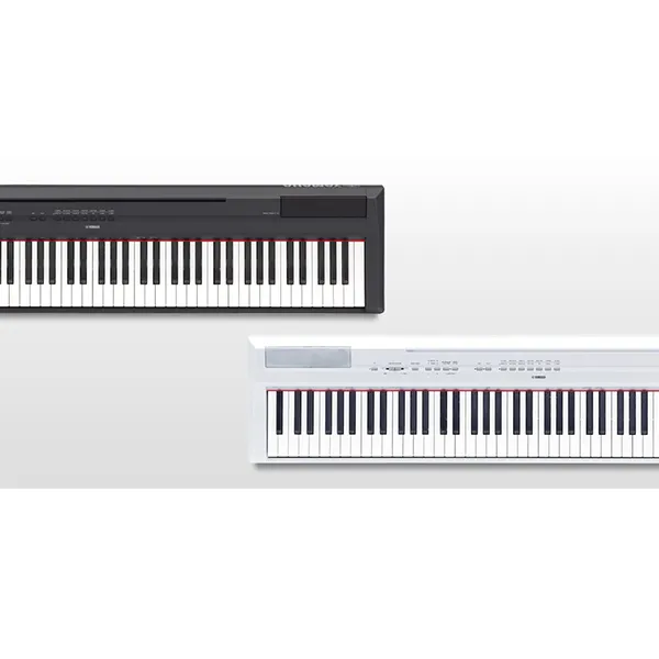 Music City – Tổng Kho Piano, Guitar, Organ | Dịch Vụ Giáo Dục Âm Nhạc