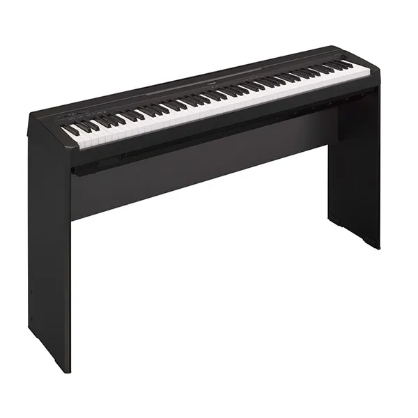 Music City – Tổng Kho Piano, Guitar, Organ | Dịch Vụ Giáo Dục Âm Nhạc