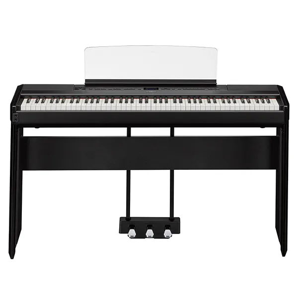 Music City – Tổng Kho Piano, Guitar, Organ | Dịch Vụ Giáo Dục Âm Nhạc