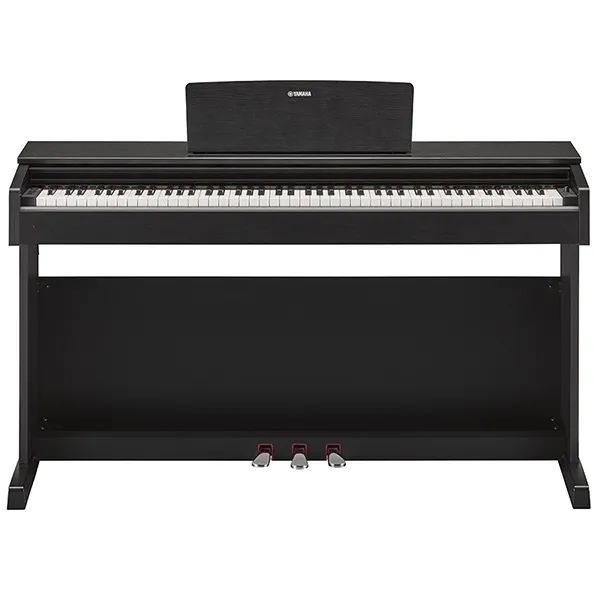 Music City – Tổng Kho Piano, Guitar, Organ | Dịch Vụ Giáo Dục Âm Nhạc