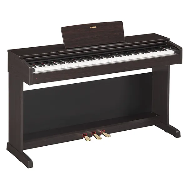 Music City – Tổng Kho Piano, Guitar, Organ | Dịch Vụ Giáo Dục Âm Nhạc