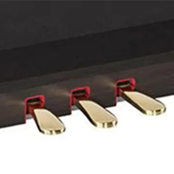 Music City – Tổng Kho Piano, Guitar, Organ | Dịch Vụ Giáo Dục Âm Nhạc