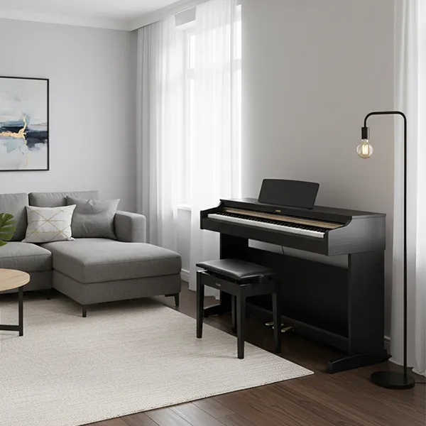 Music City – Tổng Kho Piano, Guitar, Organ | Dịch Vụ Giáo Dục Âm Nhạc