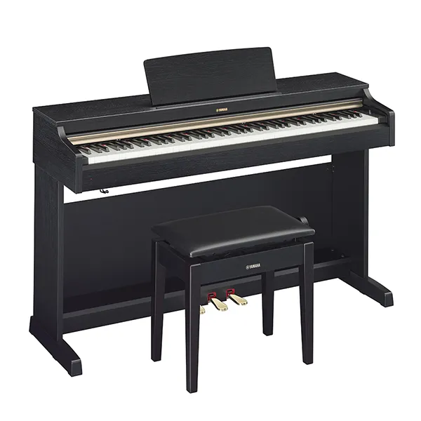 Music City – Tổng Kho Piano, Guitar, Organ | Dịch Vụ Giáo Dục Âm Nhạc