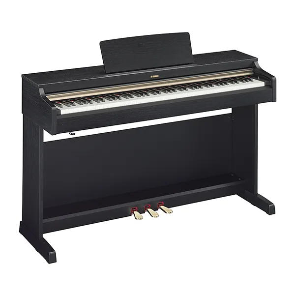 Music City – Tổng Kho Piano, Guitar, Organ | Dịch Vụ Giáo Dục Âm Nhạc