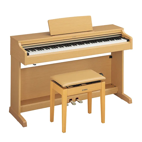 Music City – Tổng Kho Piano, Guitar, Organ | Dịch Vụ Giáo Dục Âm Nhạc