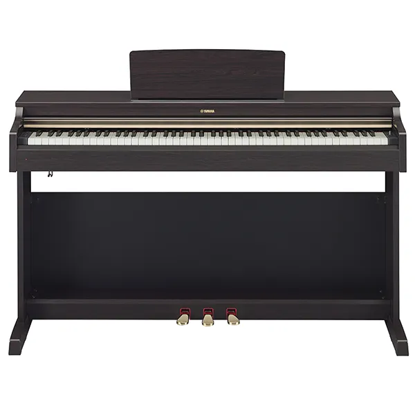 Music City – Tổng Kho Piano, Guitar, Organ | Dịch Vụ Giáo Dục Âm Nhạc