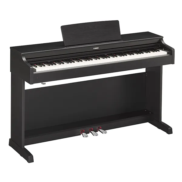 Music City – Tổng Kho Piano, Guitar, Organ | Dịch Vụ Giáo Dục Âm Nhạc