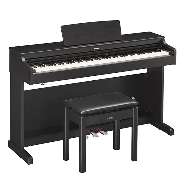 Music City – Tổng Kho Piano, Guitar, Organ | Dịch Vụ Giáo Dục Âm Nhạc