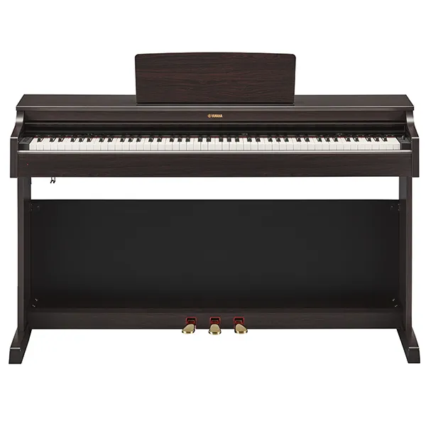 Music City – Tổng Kho Piano, Guitar, Organ | Dịch Vụ Giáo Dục Âm Nhạc
