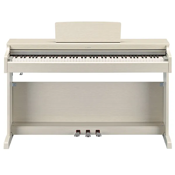 Music City – Tổng Kho Piano, Guitar, Organ | Dịch Vụ Giáo Dục Âm Nhạc