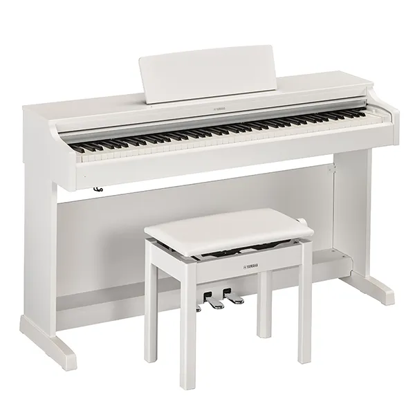 Music City – Tổng Kho Piano, Guitar, Organ | Dịch Vụ Giáo Dục Âm Nhạc