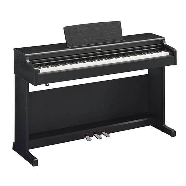 Music City – Tổng Kho Piano, Guitar, Organ | Dịch Vụ Giáo Dục Âm Nhạc