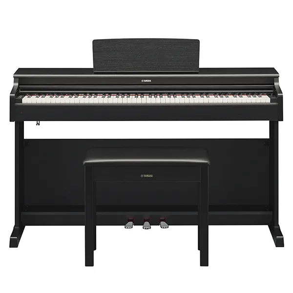 Music City – Tổng Kho Piano, Guitar, Organ | Dịch Vụ Giáo Dục Âm Nhạc