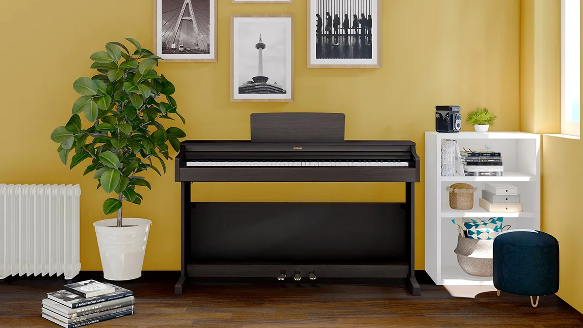 Music City – Tổng Kho Piano, Guitar, Organ | Dịch Vụ Giáo Dục Âm Nhạc