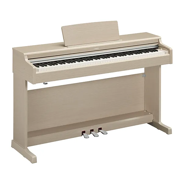 Music City – Tổng Kho Piano, Guitar, Organ | Dịch Vụ Giáo Dục Âm Nhạc