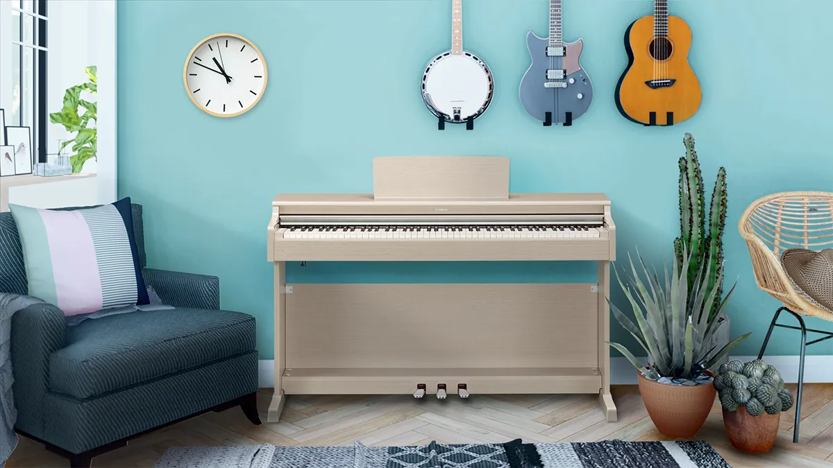 Music City – Tổng Kho Piano, Guitar, Organ | Dịch Vụ Giáo Dục Âm Nhạc