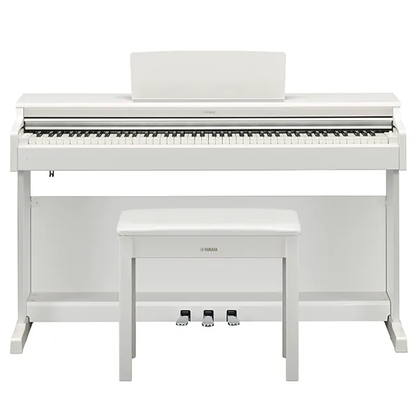 Music City – Tổng Kho Piano, Guitar, Organ | Dịch Vụ Giáo Dục Âm Nhạc