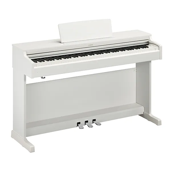 Music City – Tổng Kho Piano, Guitar, Organ | Dịch Vụ Giáo Dục Âm Nhạc
