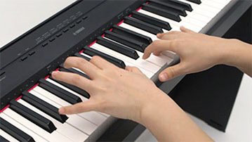 Music City – Tổng Kho Piano, Guitar, Organ | Dịch Vụ Giáo Dục Âm Nhạc