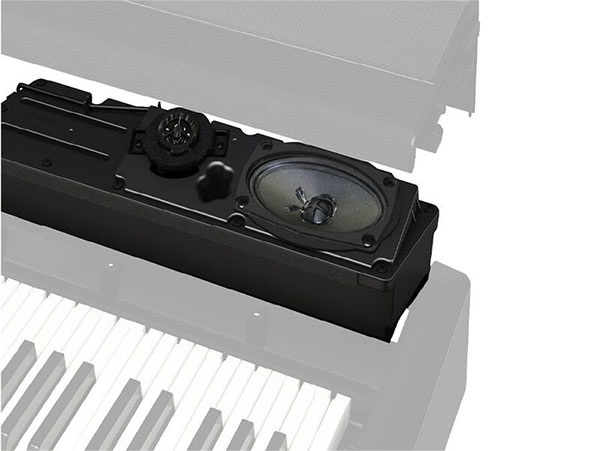 Music City – Tổng Kho Piano, Guitar, Organ | Dịch Vụ Giáo Dục Âm Nhạc