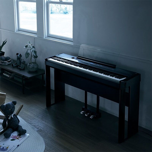 Music City – Tổng Kho Piano, Guitar, Organ | Dịch Vụ Giáo Dục Âm Nhạc