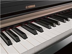 Music City – Tổng Kho Piano, Guitar, Organ | Dịch Vụ Giáo Dục Âm Nhạc