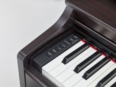 Music City – Tổng Kho Piano, Guitar, Organ | Dịch Vụ Giáo Dục Âm Nhạc