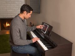Music City – Tổng Kho Piano, Guitar, Organ | Dịch Vụ Giáo Dục Âm Nhạc