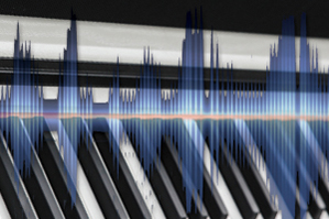 Music City – Tổng Kho Piano, Guitar, Organ | Dịch Vụ Giáo Dục Âm Nhạc