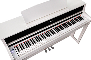 Music City – Tổng Kho Piano, Guitar, Organ | Dịch Vụ Giáo Dục Âm Nhạc