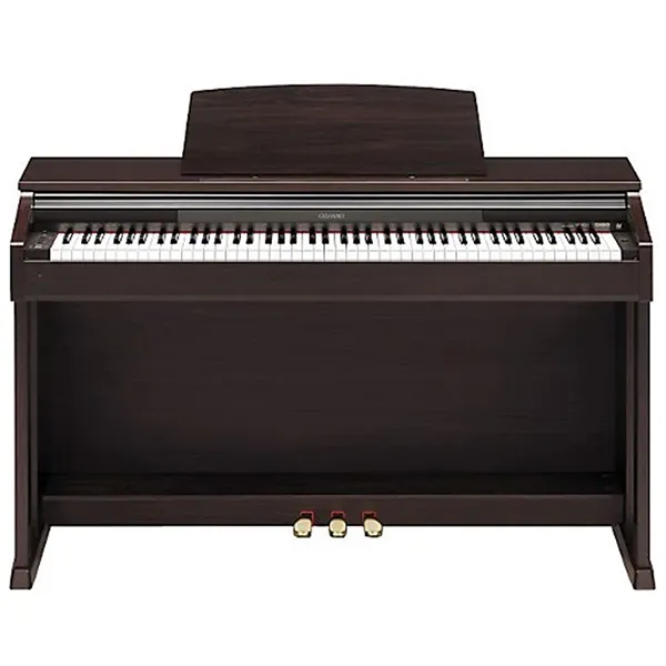 Music City – Tổng Kho Piano, Guitar, Organ | Dịch Vụ Giáo Dục Âm Nhạc