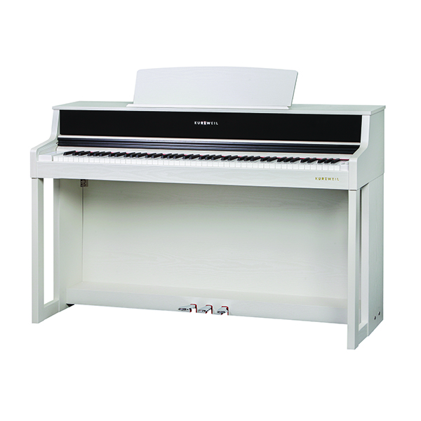 Music City – Tổng Kho Piano, Guitar, Organ | Dịch Vụ Giáo Dục Âm Nhạc