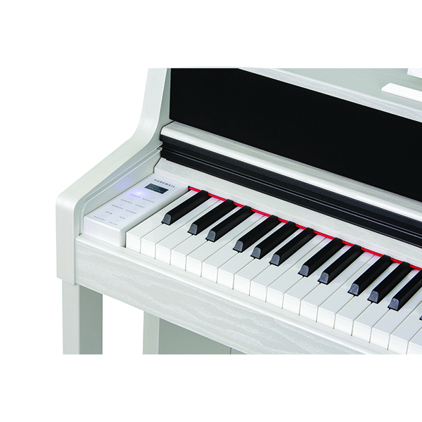 Music City – Tổng Kho Piano, Guitar, Organ | Dịch Vụ Giáo Dục Âm Nhạc