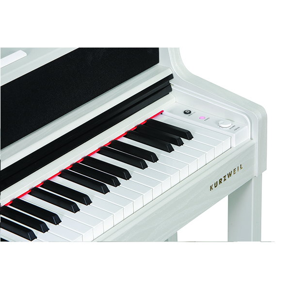 Music City – Tổng Kho Piano, Guitar, Organ | Dịch Vụ Giáo Dục Âm Nhạc