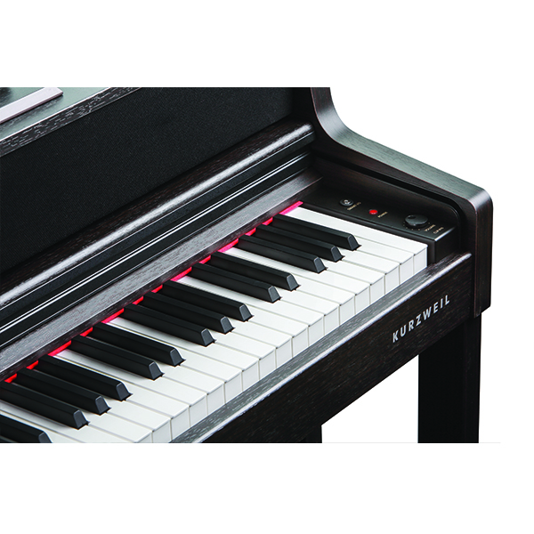 Music City – Tổng Kho Piano, Guitar, Organ | Dịch Vụ Giáo Dục Âm Nhạc