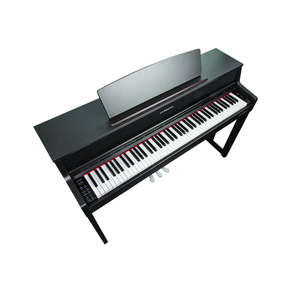 Music City – Tổng Kho Piano, Guitar, Organ | Dịch Vụ Giáo Dục Âm Nhạc