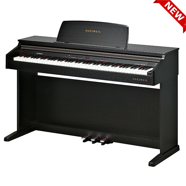 Music City – Tổng Kho Piano, Guitar, Organ | Dịch Vụ Giáo Dục Âm Nhạc