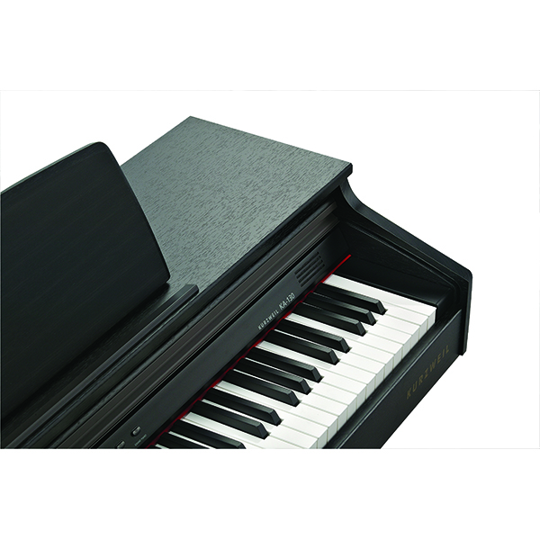 Music City – Tổng Kho Piano, Guitar, Organ | Dịch Vụ Giáo Dục Âm Nhạc