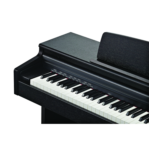 Music City – Tổng Kho Piano, Guitar, Organ | Dịch Vụ Giáo Dục Âm Nhạc