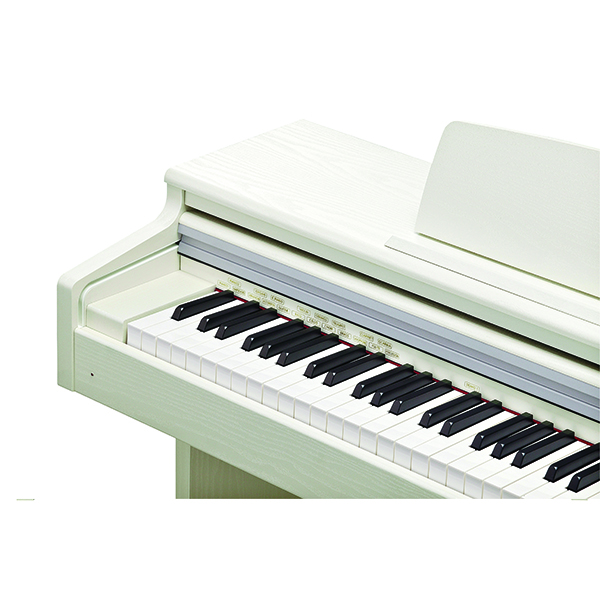 Music City – Tổng Kho Piano, Guitar, Organ | Dịch Vụ Giáo Dục Âm Nhạc