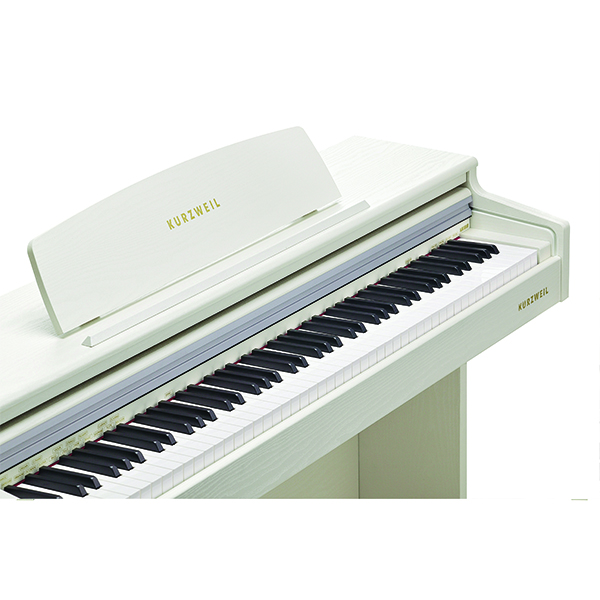 Music City – Tổng Kho Piano, Guitar, Organ | Dịch Vụ Giáo Dục Âm Nhạc
