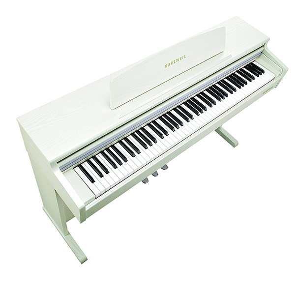 Music City – Tổng Kho Piano, Guitar, Organ | Dịch Vụ Giáo Dục Âm Nhạc