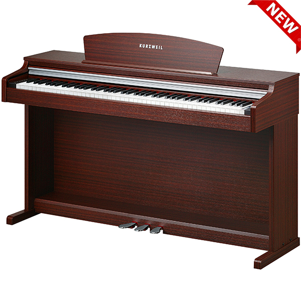 Music City – Tổng Kho Piano, Guitar, Organ | Dịch Vụ Giáo Dục Âm Nhạc