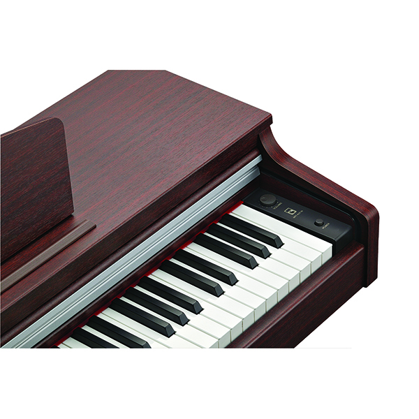 Music City – Tổng Kho Piano, Guitar, Organ | Dịch Vụ Giáo Dục Âm Nhạc